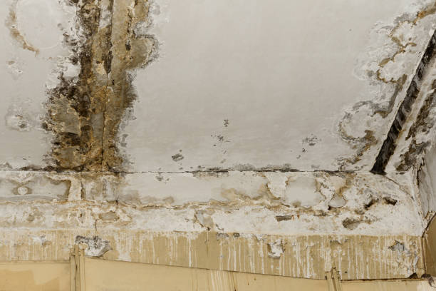 Local water damage restoration in Niles, OH